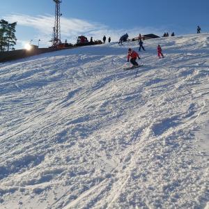 Летние занятия в горнолыжном клубе